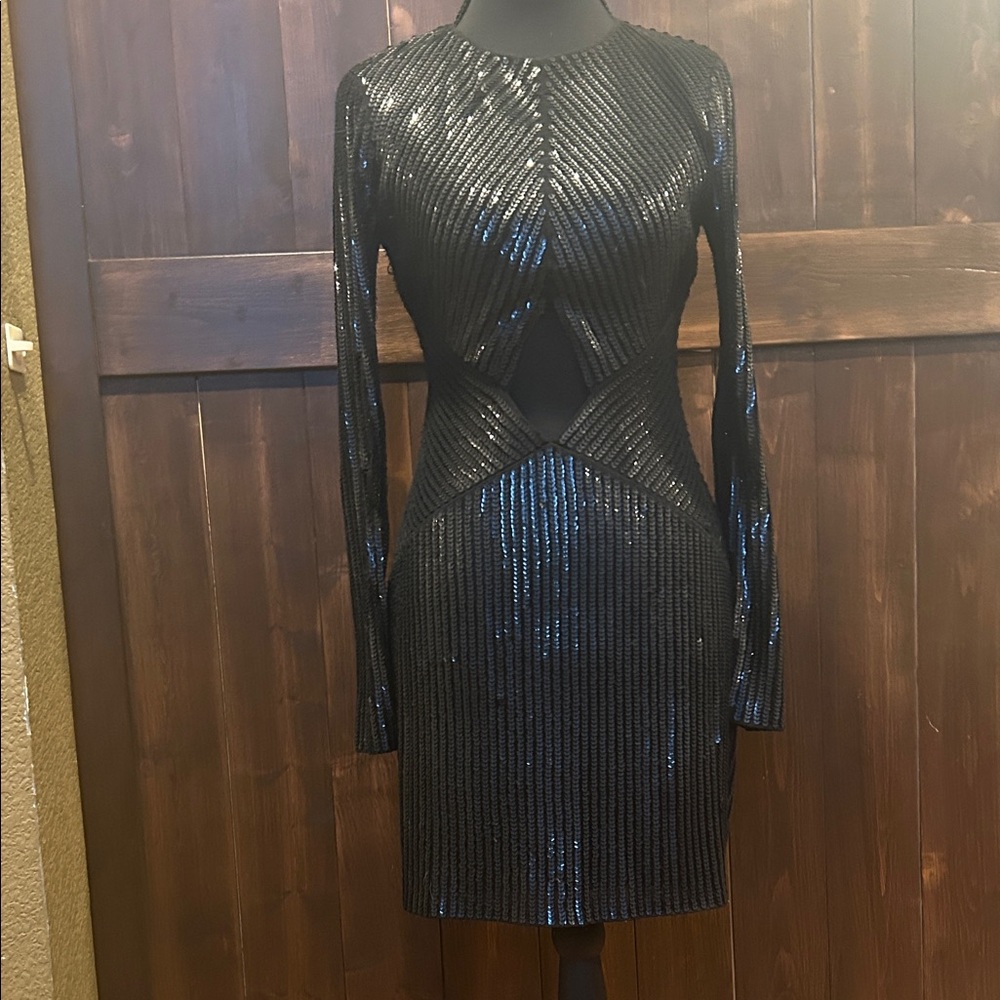 Express Black BodyCon Sequin Dress